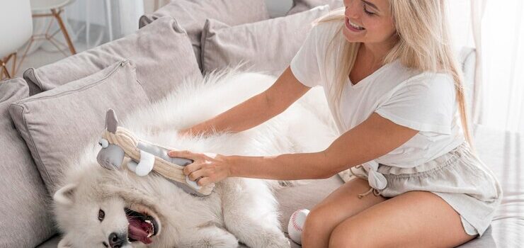 What Are the Benefits of Using a Pet Hair Remover?