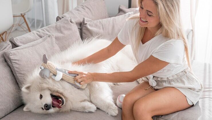 Pet Hair Remover